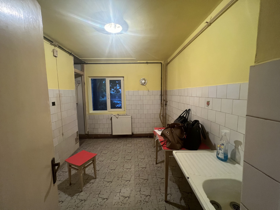 Ap 2 cam conf 1 A dec, parter/4, Cantacuzino-Paltinis