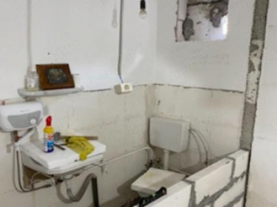 Spațiu comercial de vânzare sau închiriere – Bulevardul Castanilor, zona de sud,