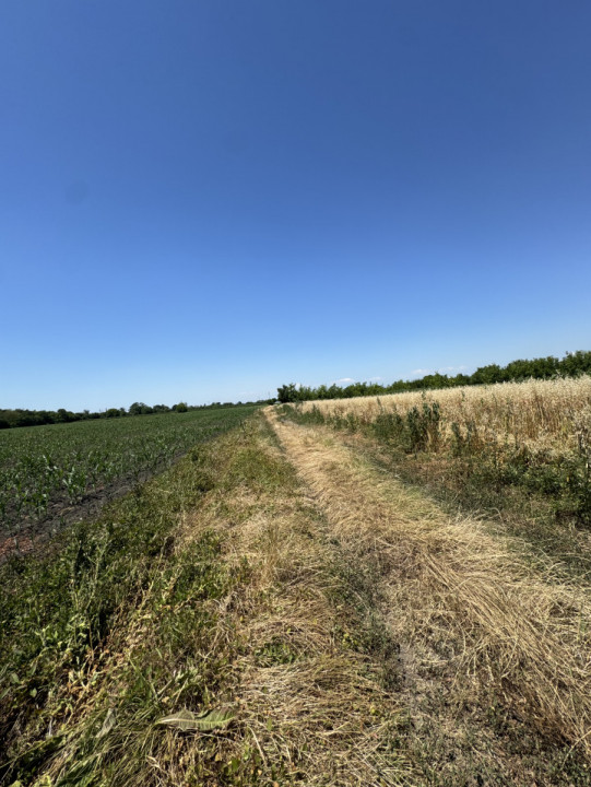 Teren intravilan 2999 mp, Com. Bărcănești, Sat. Ghighiu