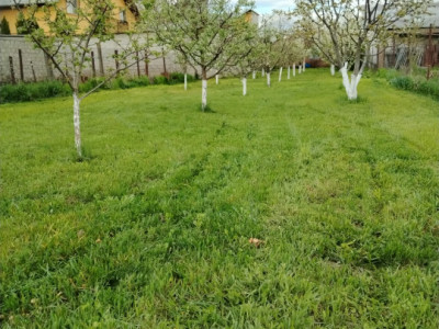 De vânzare – Teren intravilan 913 mp  Țânțăreni