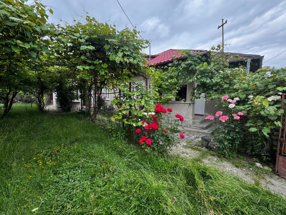 Casă solidă de vânzare în Bordenii Mari – teren generos, colț de liniște 