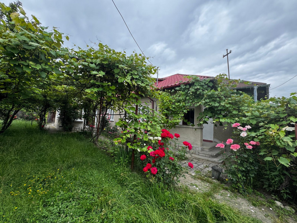 Casă solidă de vânzare în Bordenii Mari – teren generos, colț de liniște 