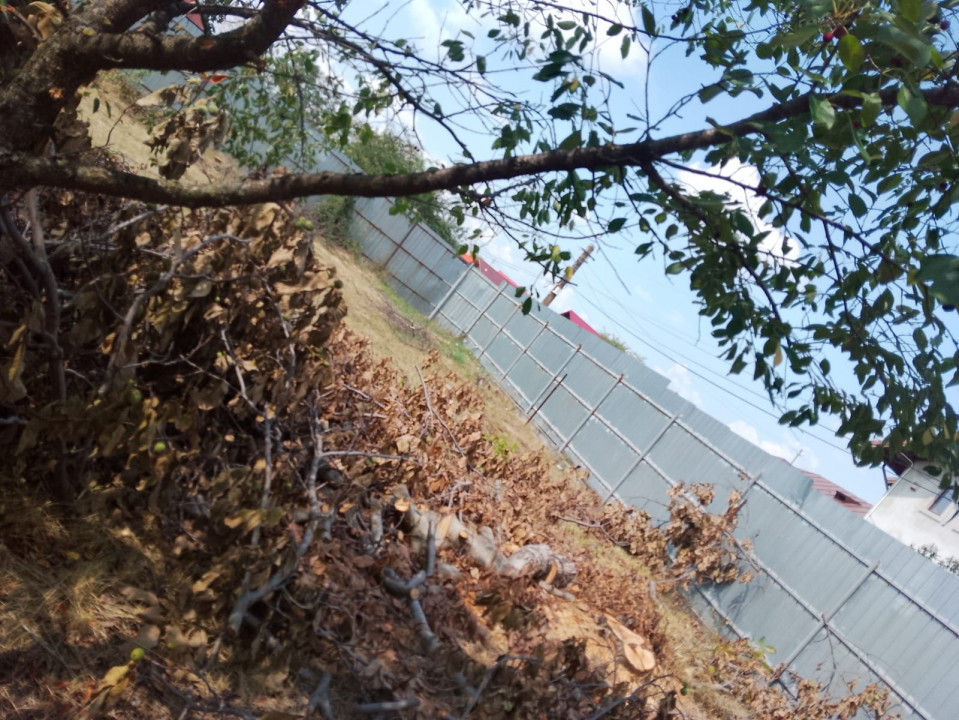 Teren intravilan – 939 mp, Tăgșoru Nou