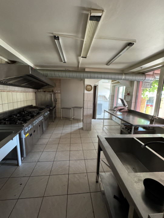 Vila P+1, Zona Traian