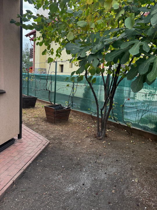 Vila S+P+1+Pod mansardat Albert Roua