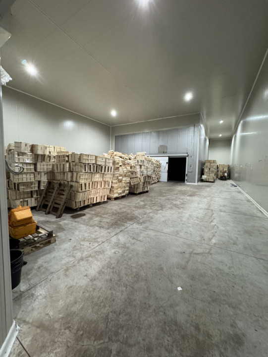 Anunț de închiriere – spații comerciale și industriale (depozite/ hale) Ploiesti