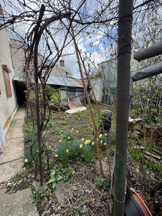 Imobil plus teren 400 mp - Strada Nicopole