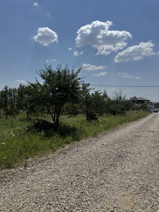 Teren intravilan parcelabil de vânzare – Cocoșești, comuna Păulești  Vă oferim