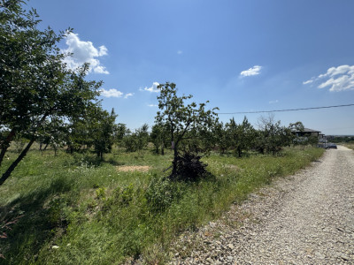 Teren intravilan parcelabil de vânzare – Cocoșești, comuna Păulești  Vă oferim