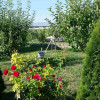 Vila P + Et 1, 2010,  Boldesti Scaieni